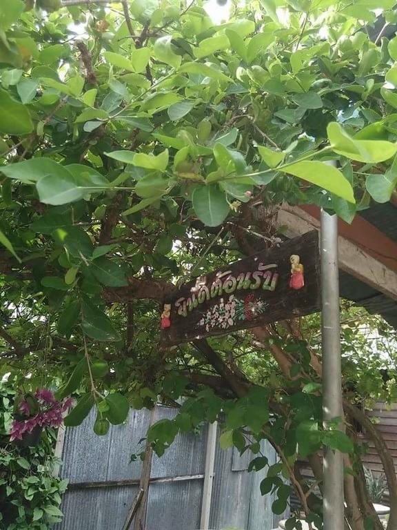 Patchaya Guesthouse Amphawa Eksteriør billede