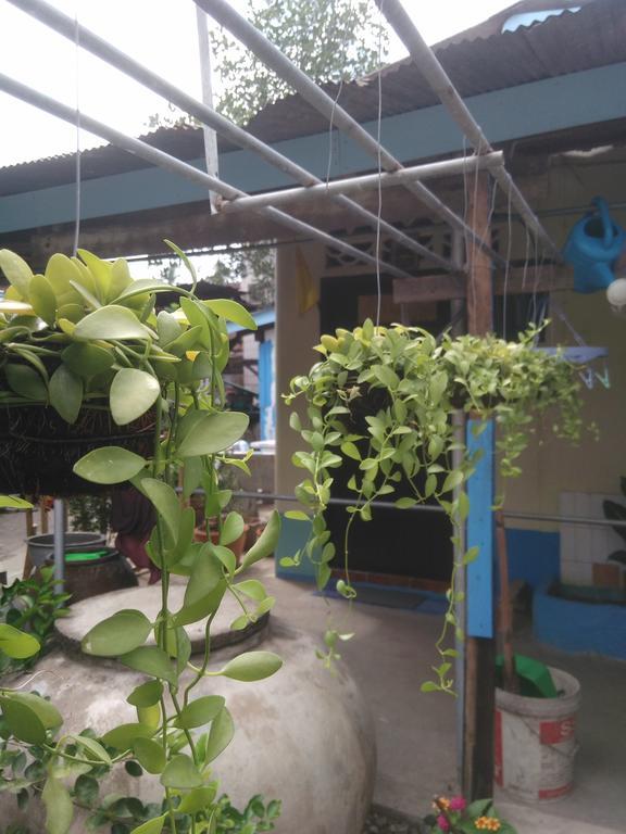 Patchaya Guesthouse Amphawa Eksteriør billede
