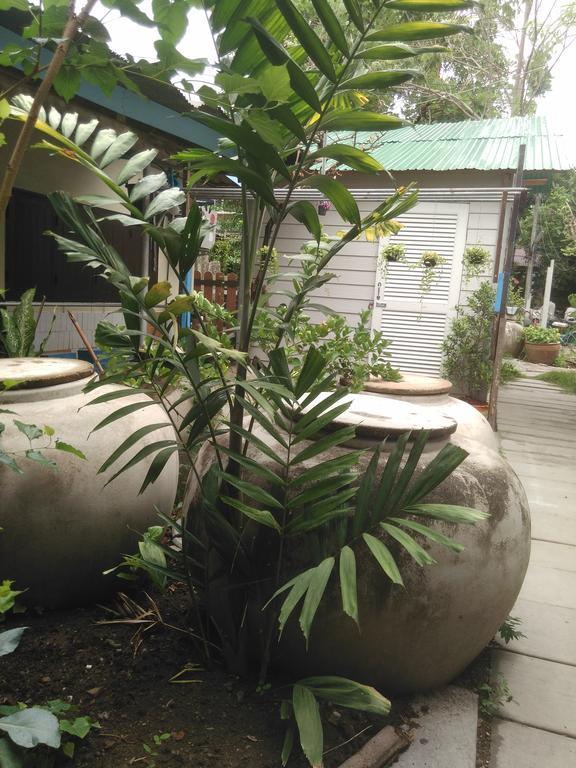 Patchaya Guesthouse Amphawa Eksteriør billede
