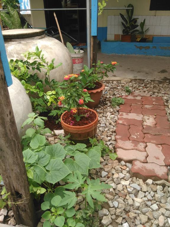 Patchaya Guesthouse Amphawa Eksteriør billede